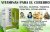 NUTRIENTE CEREBRAL